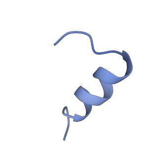 23950_7mqr_D_v1-1
The insulin receptor ectodomain in complex with four venom hybrid insulins - symmetric conformation