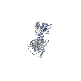 23950_7mqr_E_v1-1
The insulin receptor ectodomain in complex with four venom hybrid insulins - symmetric conformation