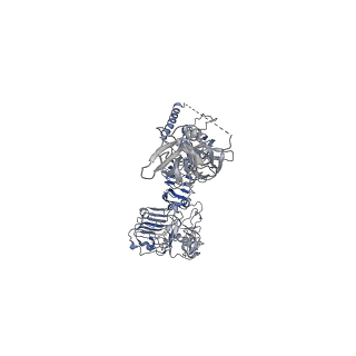 23950_7mqr_F_v1-1
The insulin receptor ectodomain in complex with four venom hybrid insulins - symmetric conformation