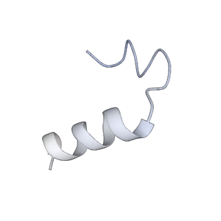 23951_7mqs_A_v1-1
The insulin receptor ectodomain in complex with three venom hybrid insulin molecules - asymmetric conformation