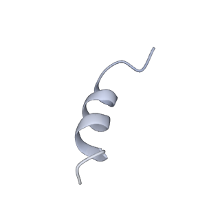 23951_7mqs_B_v1-1
The insulin receptor ectodomain in complex with three venom hybrid insulin molecules - asymmetric conformation