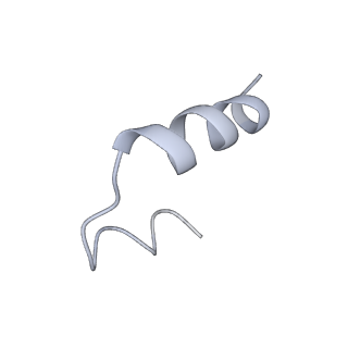 23951_7mqs_C_v1-1
The insulin receptor ectodomain in complex with three venom hybrid insulin molecules - asymmetric conformation