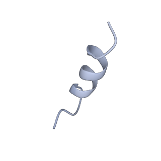23951_7mqs_D_v1-1
The insulin receptor ectodomain in complex with three venom hybrid insulin molecules - asymmetric conformation