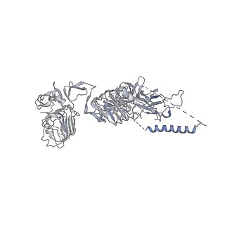 23951_7mqs_E_v1-1
The insulin receptor ectodomain in complex with three venom hybrid insulin molecules - asymmetric conformation