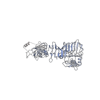 23951_7mqs_F_v1-1
The insulin receptor ectodomain in complex with three venom hybrid insulin molecules - asymmetric conformation