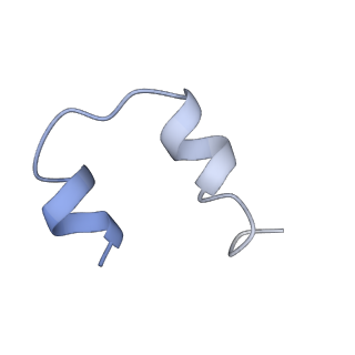 23951_7mqs_G_v1-1
The insulin receptor ectodomain in complex with three venom hybrid insulin molecules - asymmetric conformation