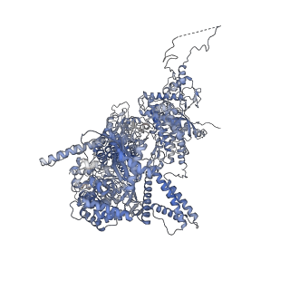 3541_5mq0_A_v1-6
Structure of a spliceosome remodeled for exon ligation