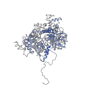 3541_5mq0_C_v1-6
Structure of a spliceosome remodeled for exon ligation