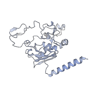 3541_5mq0_M_v1-6
Structure of a spliceosome remodeled for exon ligation