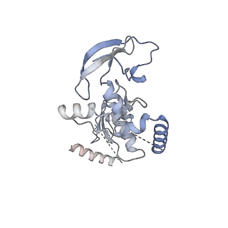 3541_5mq0_N_v1-6
Structure of a spliceosome remodeled for exon ligation