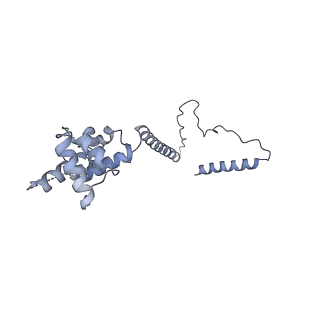 3541_5mq0_O_v1-6
Structure of a spliceosome remodeled for exon ligation