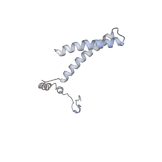 3541_5mq0_R_v1-6
Structure of a spliceosome remodeled for exon ligation