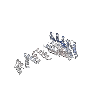3541_5mq0_S_v1-6
Structure of a spliceosome remodeled for exon ligation