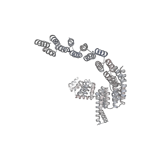 3541_5mq0_T_v1-6
Structure of a spliceosome remodeled for exon ligation