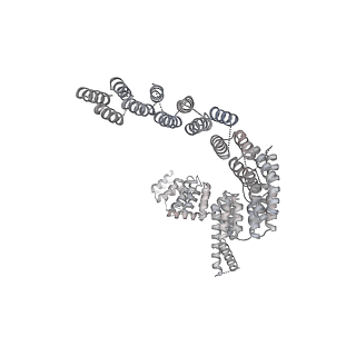 3541_5mq0_T_v2-0
Structure of a spliceosome remodeled for exon ligation