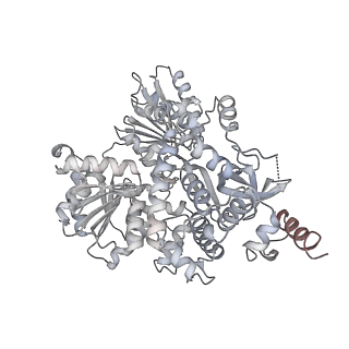 3541_5mq0_V_v1-6
Structure of a spliceosome remodeled for exon ligation