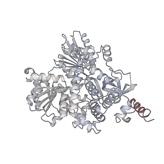3541_5mq0_V_v2-0
Structure of a spliceosome remodeled for exon ligation