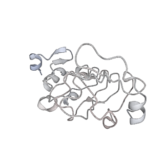 3541_5mq0_W_v1-6
Structure of a spliceosome remodeled for exon ligation