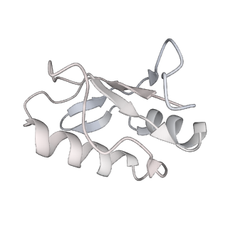 3541_5mq0_Y_v1-6
Structure of a spliceosome remodeled for exon ligation