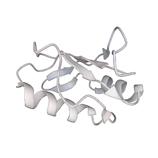 3541_5mq0_Y_v2-0
Structure of a spliceosome remodeled for exon ligation