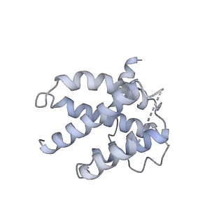 3541_5mq0_a_v1-6
Structure of a spliceosome remodeled for exon ligation