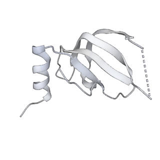 3541_5mq0_e_v1-6
Structure of a spliceosome remodeled for exon ligation
