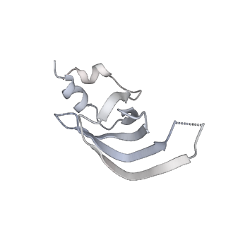 3541_5mq0_h_v1-6
Structure of a spliceosome remodeled for exon ligation