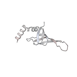 3541_5mq0_j_v1-6
Structure of a spliceosome remodeled for exon ligation