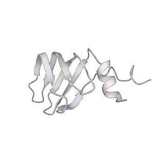 3541_5mq0_n_v1-6
Structure of a spliceosome remodeled for exon ligation