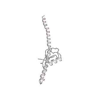 3541_5mq0_v_v1-6
Structure of a spliceosome remodeled for exon ligation