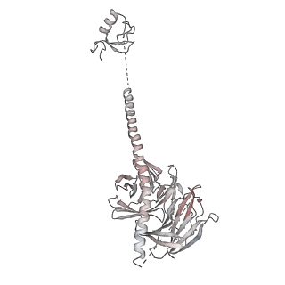 3541_5mq0_w_v1-6
Structure of a spliceosome remodeled for exon ligation