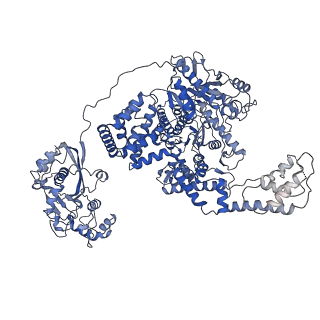 23952_7mr0_B_v1-1
Cryo-EM structure of RecBCD with docked RecBNuc and flexible RecD