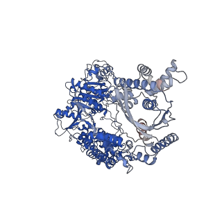 23952_7mr0_C_v1-1
Cryo-EM structure of RecBCD with docked RecBNuc and flexible RecD