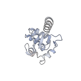 23952_7mr0_D_v1-1
Cryo-EM structure of RecBCD with docked RecBNuc and flexible RecD