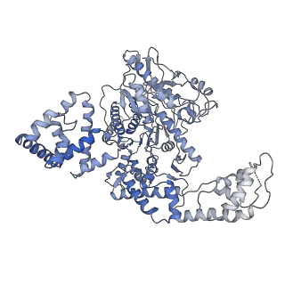 23953_7mr1_B_v1-1
Cryo-EM structure of RecBCD with undocked RecBNuc and flexible RecD C-terminus