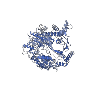23953_7mr1_C_v1-1
Cryo-EM structure of RecBCD with undocked RecBNuc and flexible RecD C-terminus