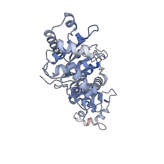 23953_7mr1_D_v1-1
Cryo-EM structure of RecBCD with undocked RecBNuc and flexible RecD C-terminus
