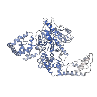 23954_7mr2_B_v1-1
Cryo-EM structure of RecBCD with undocked RecBNuc and flexible RecD