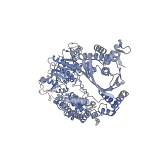 23954_7mr2_C_v1-1
Cryo-EM structure of RecBCD with undocked RecBNuc and flexible RecD