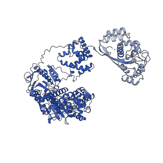 23955_7mr3_B_v1-1
Cryo-EM structure of RecBCD-DNA complex with docked RecBNuc and stabilized RecD