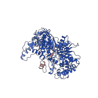 23955_7mr3_C_v1-1
Cryo-EM structure of RecBCD-DNA complex with docked RecBNuc and stabilized RecD