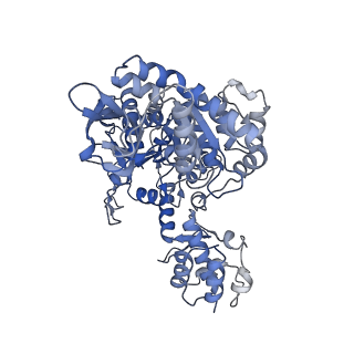 23955_7mr3_D_v1-1
Cryo-EM structure of RecBCD-DNA complex with docked RecBNuc and stabilized RecD