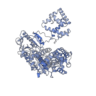 23956_7mr4_B_v1-1
Cryo-EM structure of RecBCD-DNA complex with undocked RecBNuc and flexible RecD
