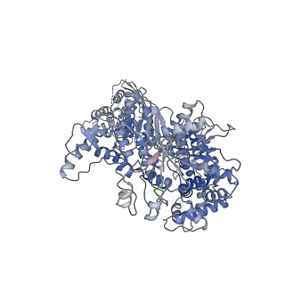 23956_7mr4_C_v1-1
Cryo-EM structure of RecBCD-DNA complex with undocked RecBNuc and flexible RecD