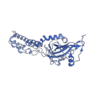 3551_5mrc_1_v1-2
Structure of the yeast mitochondrial ribosome - Class A