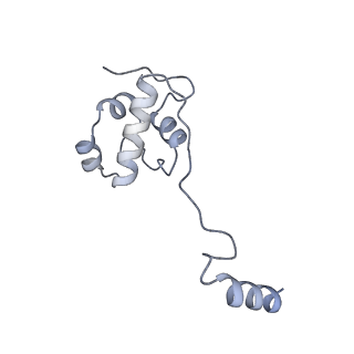 3551_5mrc_22_v1-2
Structure of the yeast mitochondrial ribosome - Class A