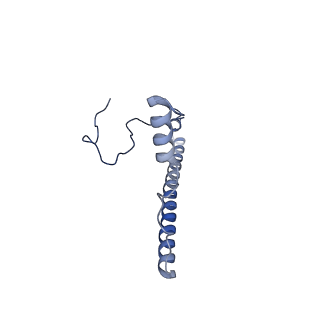 3551_5mrc_2_v1-2
Structure of the yeast mitochondrial ribosome - Class A