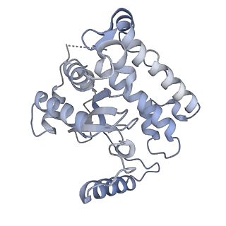 3551_5mrc_33_v1-2
Structure of the yeast mitochondrial ribosome - Class A