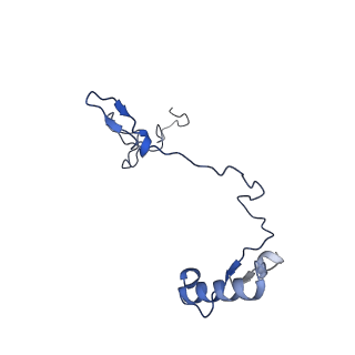 3551_5mrc_3_v1-2
Structure of the yeast mitochondrial ribosome - Class A