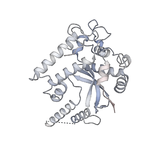 3551_5mrc_44_v1-2
Structure of the yeast mitochondrial ribosome - Class A